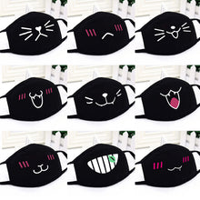 Load image into Gallery viewer, Korean pop Winter &amp; Warm Fabric Mask
