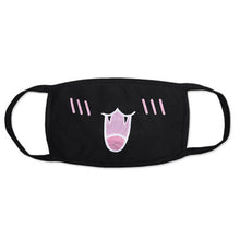 Load image into Gallery viewer, Korean pop Winter &amp; Warm Fabric Mask
